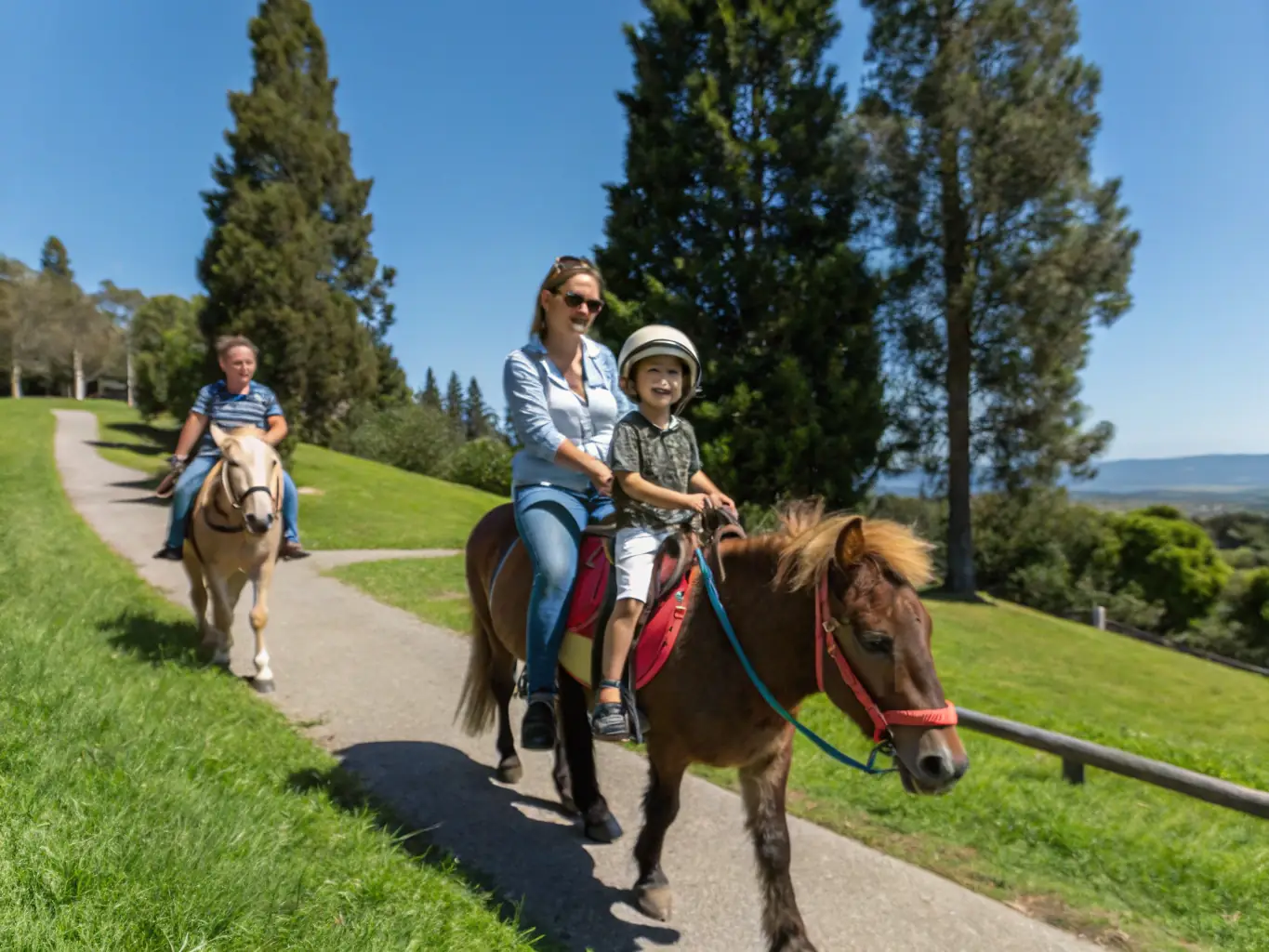 A vibrant image showcasing participants of all ages engaging in an equestrian driving event, with horses pulling carriages through a scenic countryside setting. The focus is on teamwork, skill, and the joy of outdoor recreation.