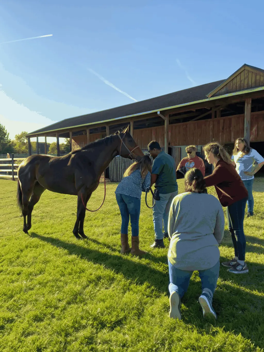 A diverse group of participants engaging in a team-building equestrian activity, highlighting inclusivity.